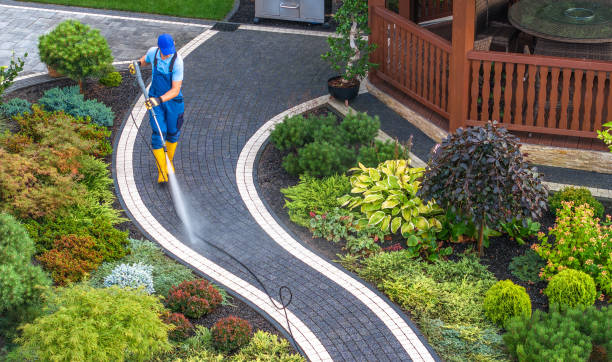 Professional Pressure Washing in South Laurel, MD